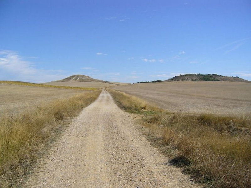 La piste file vers Boadilla del Camino - 031.JPG 031.JPG