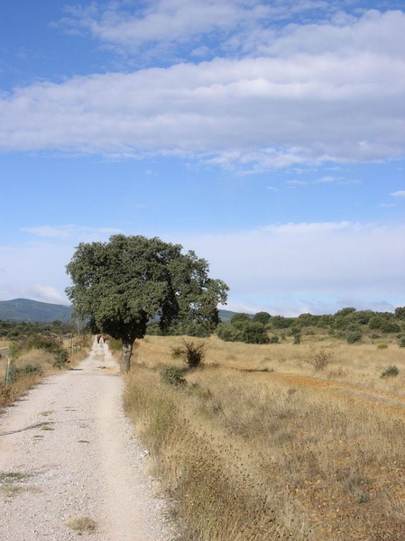 Entre El Ganso et Rabanal del Camino - 008.JPG 008.JPG
