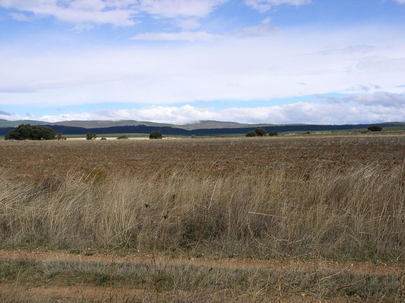 Entre El Ganso et Rabanal del Camino - 009.JPG 009.JPG
