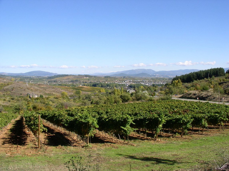 Nous entrons dans le Bierzo... - 039.JPG 039.JPG